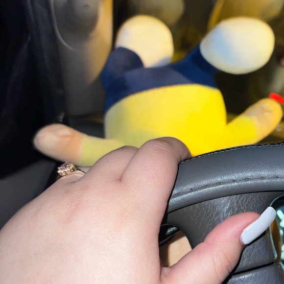 Meet your Posher, Lizbeth - Picture 1 of 1